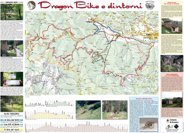 dragon-bike